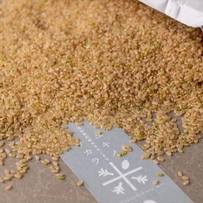 ふるさと納税 西和賀町 アースコネクト【令和8年度産】ユキノチカラ米　銀河のしずく　玄米8kg |  | 01