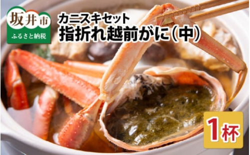 【先行予約】【訳あり】超うまい!!指折れ越前がに(中) カニスキセット 1杯 やまに仕込み ※12月発送不可 【2025年11月中旬～2026年3月発送】 [E-4354]