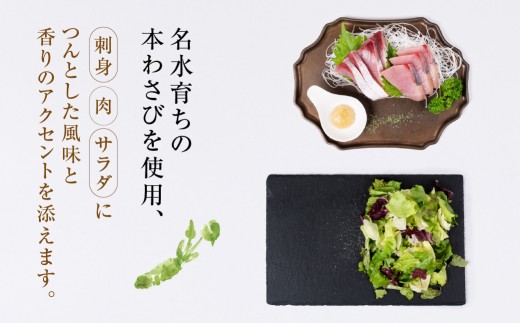 あらずりわさび・わさび塩 わさび 塩 調味料 セット わさび ワサビ 山葵 焼き肉 刺身 調味料 料理 詰め合わせ お取り寄せ 調味料 料理 詰め合わせ お取り寄せ 調味料 料理 詰め合わせ お取り寄