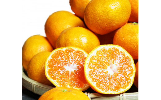 【ご家庭用訳アリ】紀州有田産濃厚完熟温州みかん　7.5kg　※2026年11月下旬～2027年1月下旬頃に順次発送予定(お届け日指定不可)【uot704A】