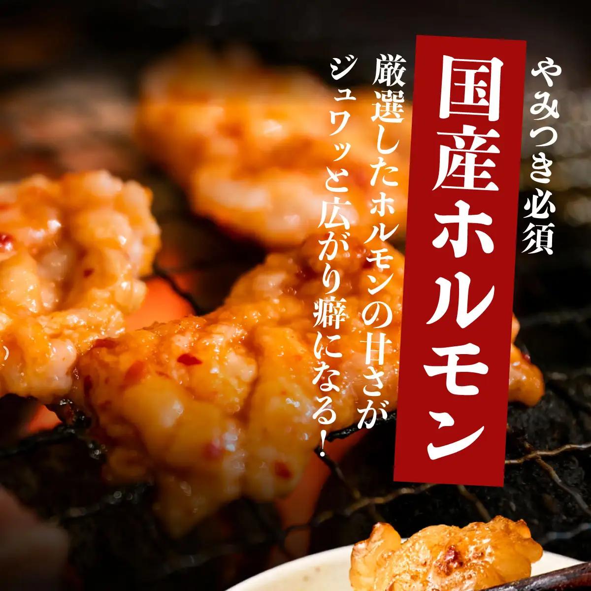 ヤマジュウの特製タレ漬け！国産牛ホルモン６００ｇ【３回定期便】 頒布会