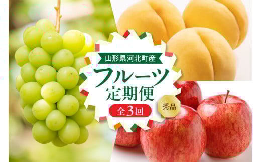 【令和8年産】8月から始まる・お取り寄せフルーツ定期便 3回 (黄桃・シャインマスカット・サンフジ)【山形eLab】 ka074-031-r8