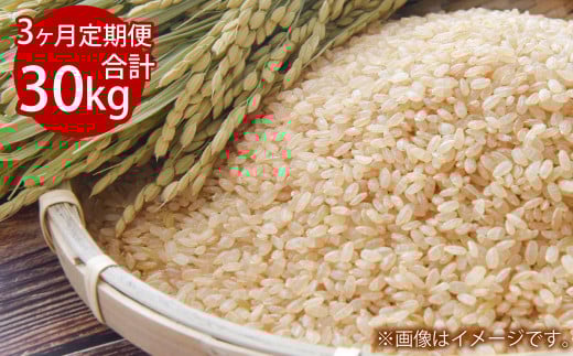 【3ヵ月定期便】3回連続 岡山県倉敷市産 きぬむすめ  10kg 玄米 計30kg【2025年10月より1回目発送開始】
