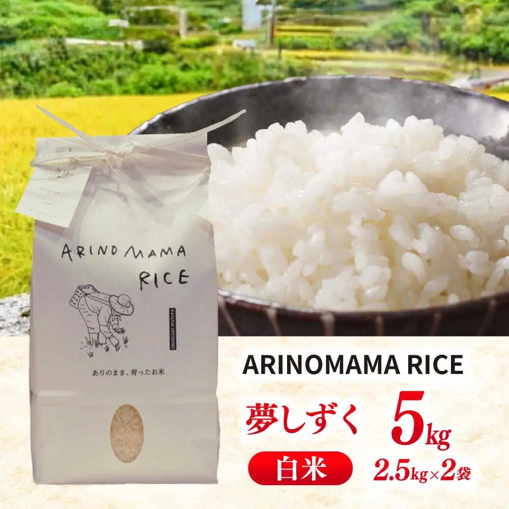 白米 夢しずく 5kg NCK003 白米
