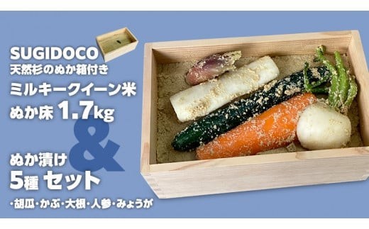 
ミルキークィーン米 ぬか床 1.7kg ＆ ぬか漬け5種 セット ( SUGIDOCO 容器付き ) 米 お米 コメ こめ ミルキークイーン ぬか漬け ぬか ぬかどこ [BJ007ci]
