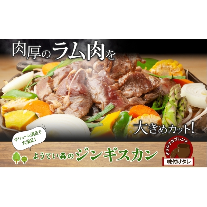 ようてい森のバーベキューセット ジンギスカン 300g ×2パック 味付鶏もも肉 300g 計900g 詰め合わせ 羊 グルメ 鶏 モモ BBQ ラム 小分け タレ付 お肉 羊肉 _イメージ2