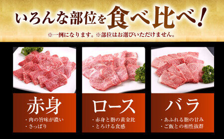 訳あり 佐賀牛 焼肉セット1kg HAD148 牛肉 焼肉