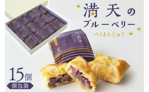 お菓子 個包装 満天のブルーベリー 15個入 [谷口製菓 石川県 宝達志水町 38601294] 菓子 焼菓子 菓子折り 和菓子 パイ スイーツ おかし おやつ 常温 ブルーベリー