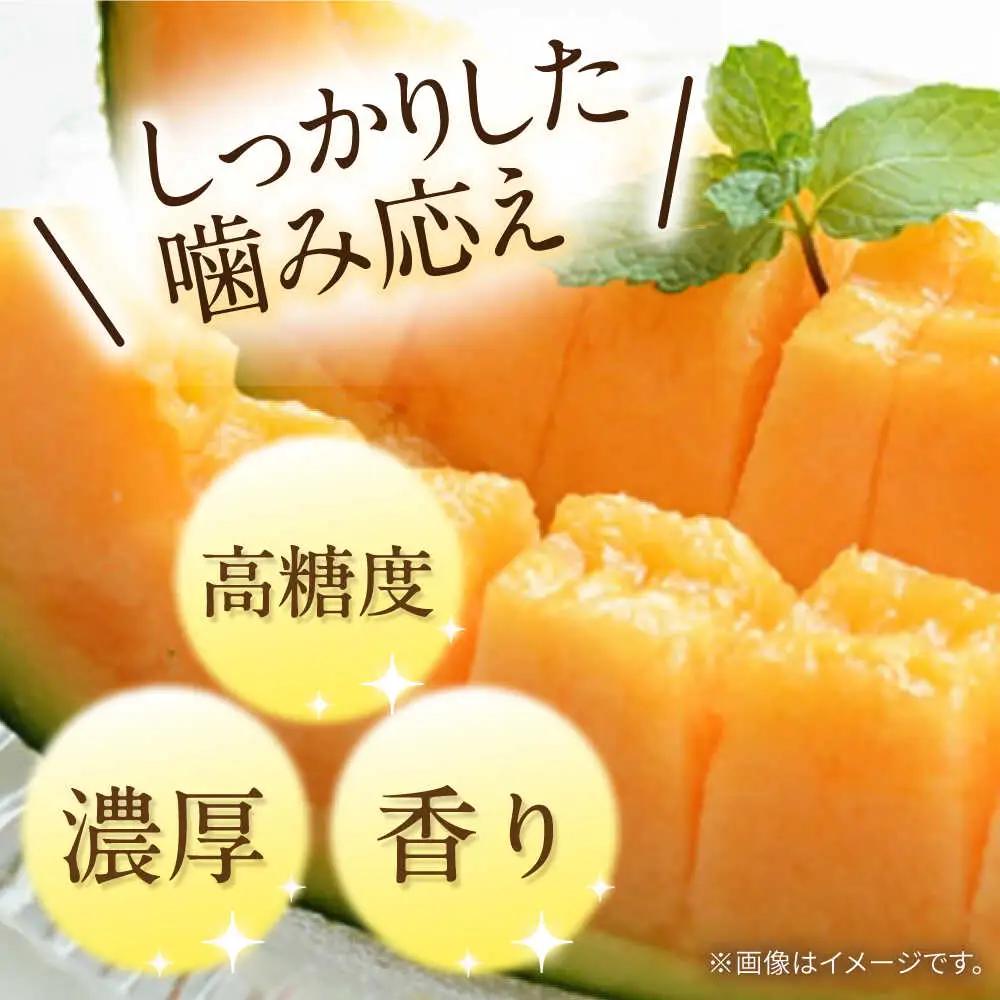 【2027年5月-発送】タカミメロン レッド 1箱 5kg以内（3?6玉） / メロン めろん フルーツ 果物 / 南島原市 / 南島原果物屋[SCV031]