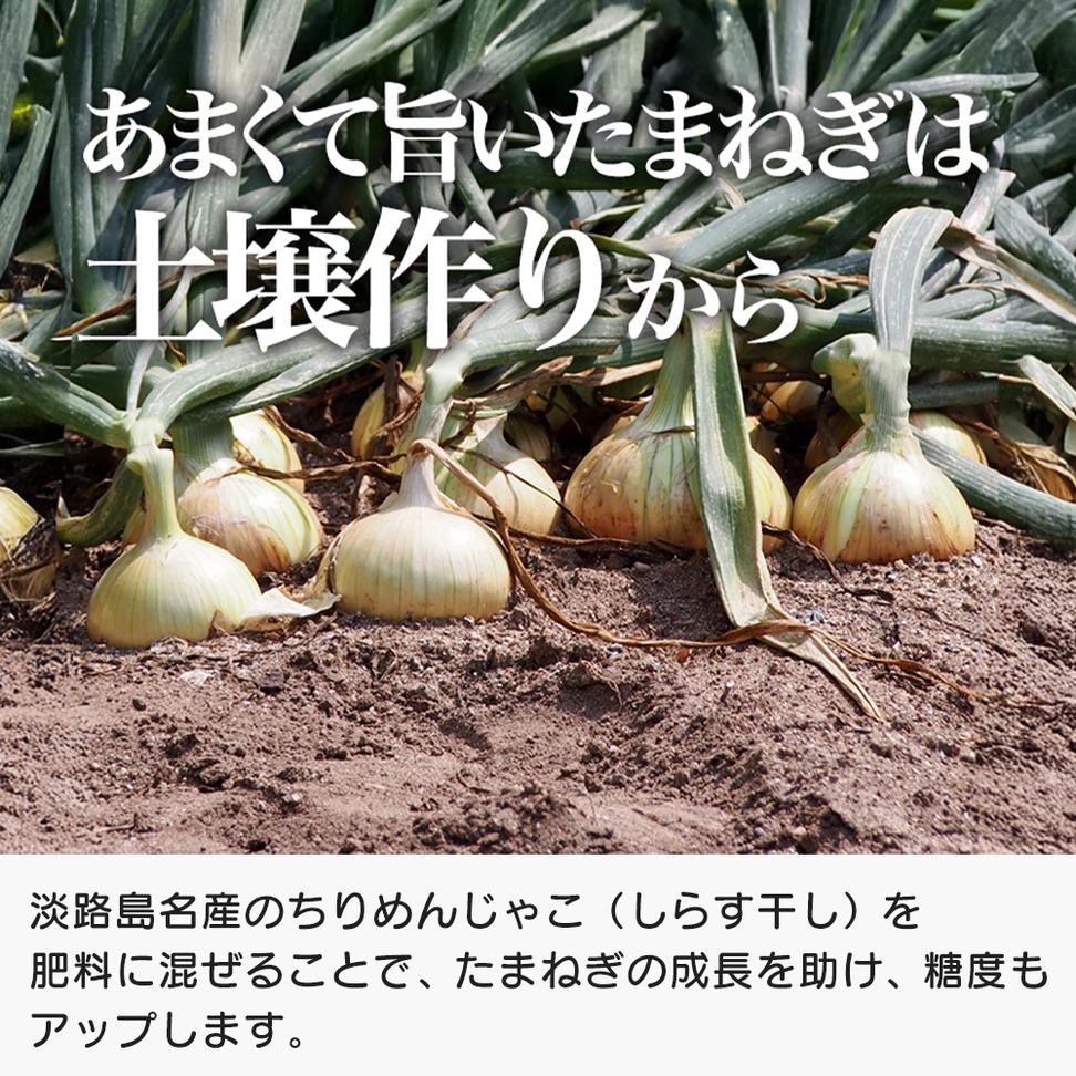 道の駅あわじ厳選新玉ねぎ５kg【発送時期2026年5月頃】