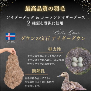 【ピンク／ブルー】羽毛布団 セミダブル アイダーダウン ポーランドマザーグース95% 掛け布団 キャピタル トリプル