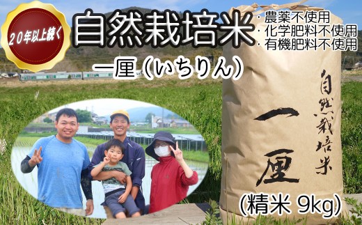 DC-5.【幸せへの想いを込めた 自然栽培米】一厘（いちりん）　精米　9kg