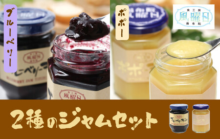 ＼年内発送／【食工房　風曜日】2種のジャムセット（ブルーベリー・ポポー）