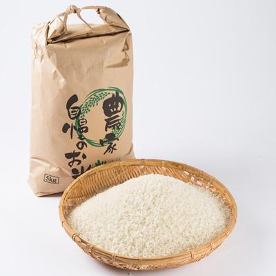 ふるさと納税 旭川市 令和7年産無洗米北海道産特Aななつぼし5kg こめ お米  精米 白米 |  | 01