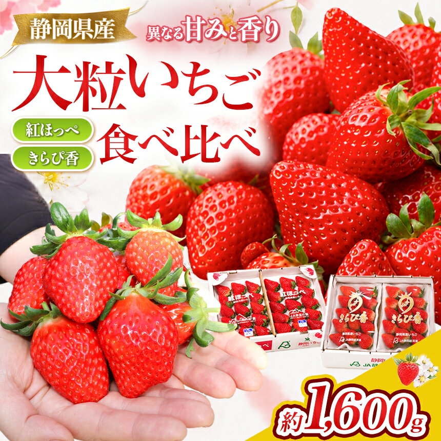 【ふるさと納税】【先行予約/数量限定】名産地伊豆のきらぴ香・紅ほっぺ食べ比べセット（約400g×4パック） ／ 果物 フルーツ いちご イチゴ 苺 期間限定 希少 伊豆の国 静岡 静岡県