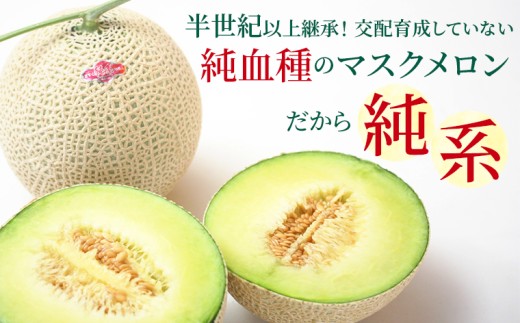 ※写真は正規品の純系マスクメロンです