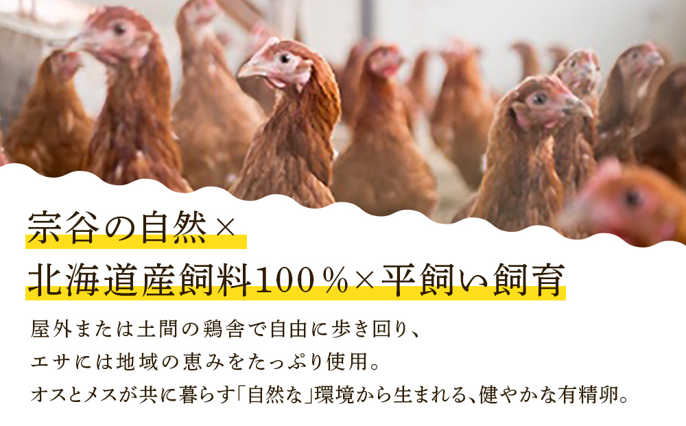 宗谷のしおかぜたまご30個入(10個入×3ケース)