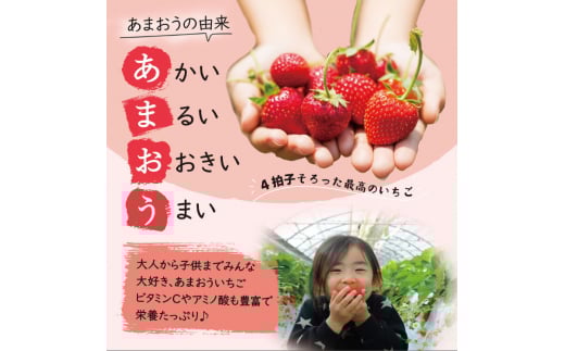 【先行予約】【全2回定期便】あまおう いちご 1,080g (約270g×4パック 【2026年1月中旬以降順次発送】 糸島市 / 株式会社HSP-テクノ グランデ 等級 福岡県産 [AZL005]