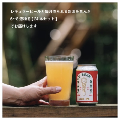 クラフトビール24本セット【配送不可地域：離島】