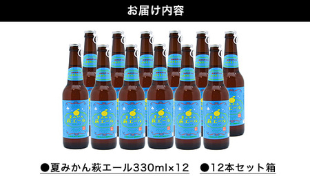 城下町・萩の地ビール／夏みかん萩エール12本セット