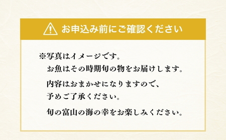 富山湾産おまかせ干物セット「志」｜富山 干物セット 干物 詰め合わせ 冷凍 新鮮 海鮮 お取り寄せ 魚 魚貝類 魚介類 詰合せ 朝食 おかず セット 国産 北陸 富山県 富山湾 魚津市 送料無料