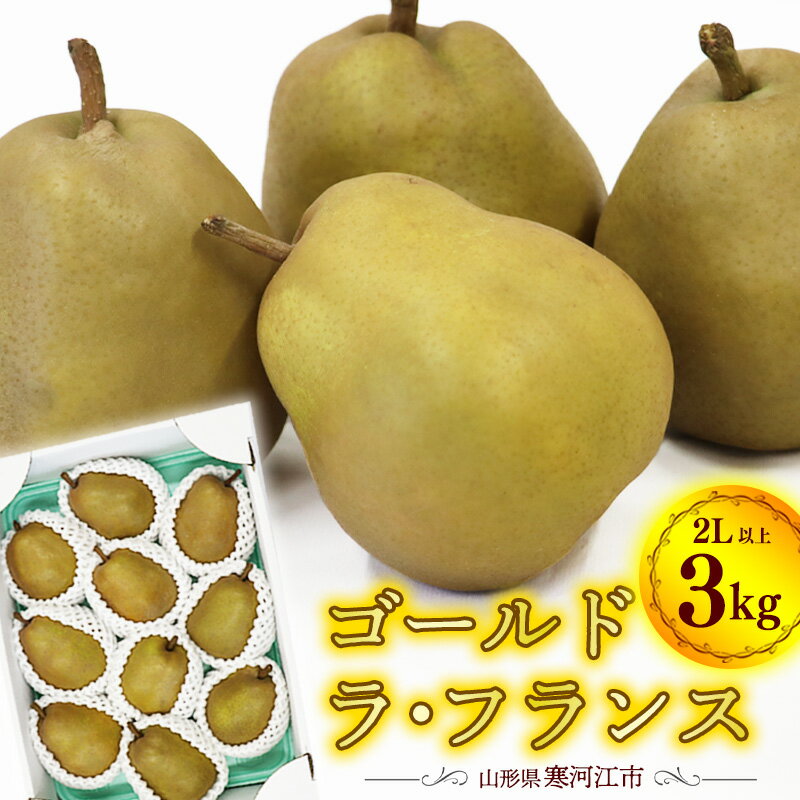 【ふるさと納税】希少な 金系 ゴールド ラ・フランス 3kg（8〜11玉）2Lサイズ以上 サイズおまかせ 山形産 【2025年11月上旬頃から12月下旬頃発送予定】 ／ 2025年産 令和7年産 西洋梨 ラフランス 果物 フルーツ 果実 農家直送 お取り寄せ デザート 秋 冬 東北 山形県