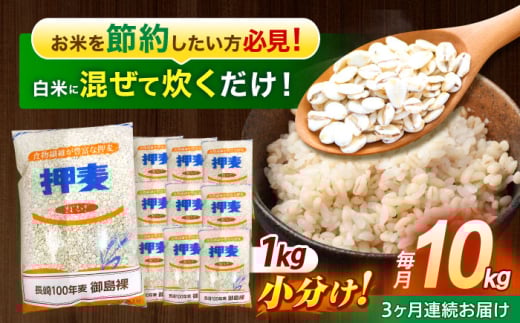 【全3回定期便】 押麦「長崎100年麦 御島裸」1kg×10袋 計10kg / 麦 むぎ 押麦 はだか麦 麦味噌 雑穀 雑穀米 食物繊維 小分け 長崎県産 米 こめ コメ ※ / 諫早市 / 有限会社伊東精麦 [AHBU010]