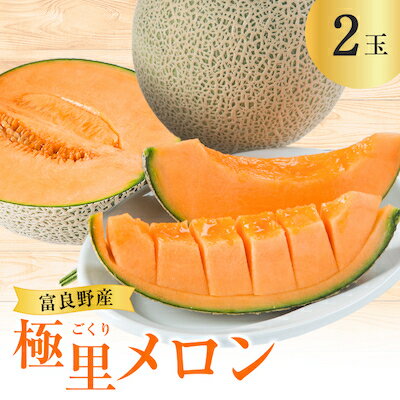 【ふるさと納税】【先行予約　2026年発送】富良野産　極里メロン 2玉【1269861】
