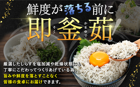 訳あり 釜揚げしらす 1kg 冷凍 愛知県南知多町 日間賀島