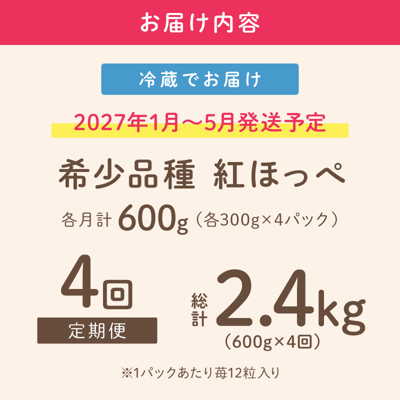 【2027年1月～5月発送予定】【いちご本来の甘酸っぱさを味わう】定番人気 紅ほっぺ 約600g（約300g×2パック×1箱）4ヶ月定期便 ※お届け不可地域あり【121B-005-2027】