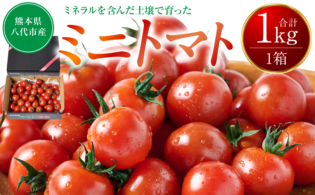 【先行予約】 ミニトマト1kg トマト とまと ミニトマト プチトマト 野菜 やさい 旬の野菜 新鮮な野菜 地元産野菜 旬のやさい 新鮮なやさい ご当地 【2025年11月中旬より順次発送】