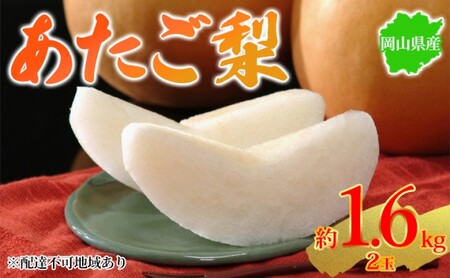 あたご梨 和梨 岡山県産 あたご梨【約1.6kg 2玉】【先行予約】