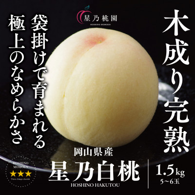 【星乃白桃】岡山県産 三つ星 セレクト白桃 1.5kg (5〜6玉)【配送不可地域：離島】【1614279】