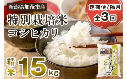【令和7年産】【定期便3回隔月お届け】特別栽培米 コシヒカリ 精米 15kg（5kg×3）《順次出荷》  白米 従来品種コシヒカリ 加茂有機米生産組合 新潟県 加茂市産 白米 米 お米 定期便