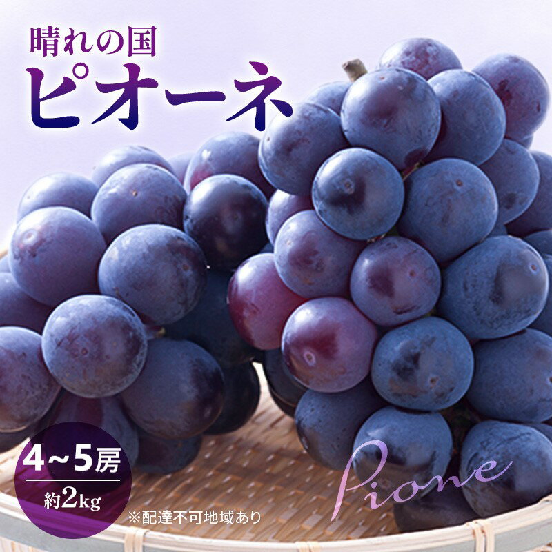 【ふるさと納税】ぶどう ニューピオーネ 2kg 4～5房 早期受付 2026年 晴れの国 ピオーネ 化粧箱入り ブドウ 葡萄 果物 フルーツ 露地もの 岡山県高梁市 ギフト 贈答用　お届け：2026年9月15日～2026年10月15日