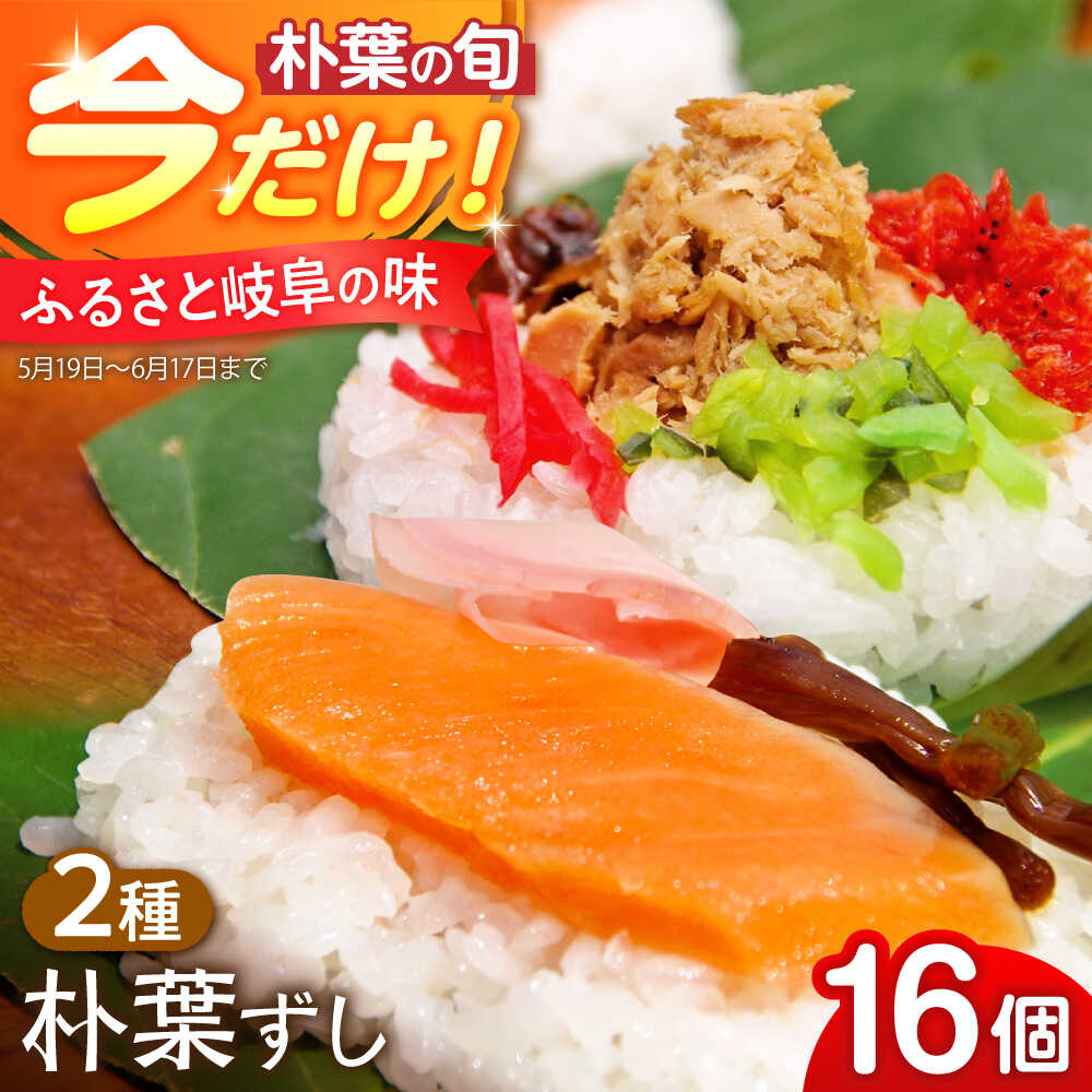 【ふるさと納税】＼5,6月限定／ 朴葉ずし 16個入（鮭×8 シーチキン×8） 美濃白川クオーレの里 / 白川町 / 大正茶屋 朴葉寿司 朴葉 すし[AWAP007]