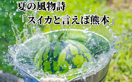 訳あり 大玉すいか 1玉 約6kg〜9kg 送料無料 スイカ すいか 益城町産 お取り寄せ お取り寄せグルメ 西瓜 フルーツ 【2025年5月下旬～7月下旬発送予定】