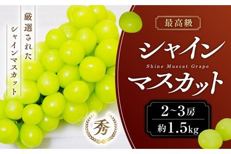 2023年発送分 最高級ランクシャインマスカット 約1.5㎏(2房)