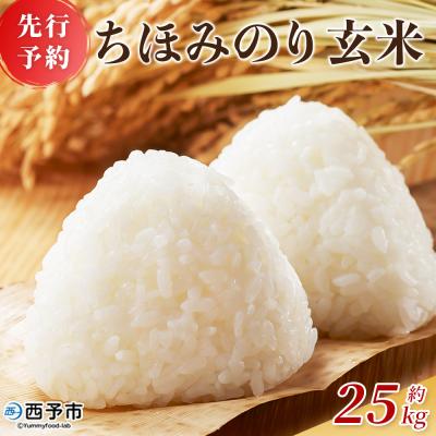 ふるさと納税 西予市 &lt;ちほみのり 玄米  25kg&gt; げんまい 米 こめ コメ ご飯 穀物