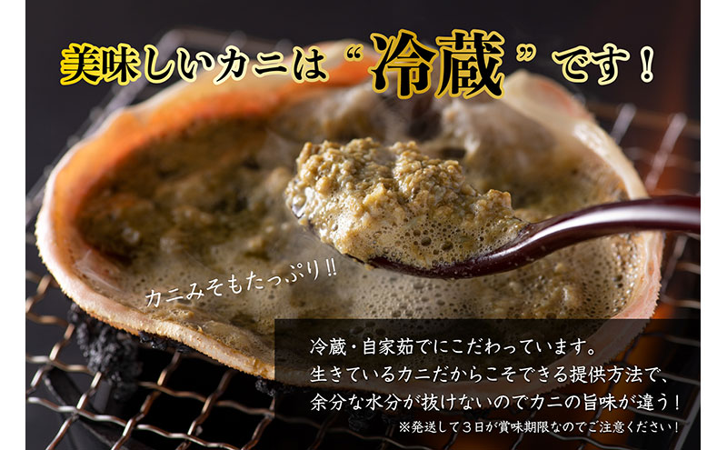 【12月出荷】越前ガニ 1.3kg～1.4kg 1杯 【特大サイズ】