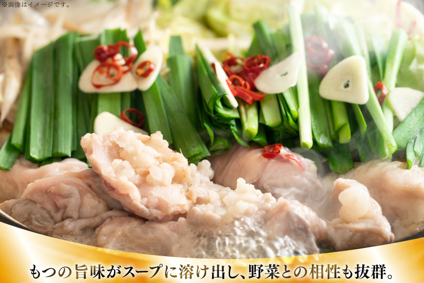 【3回定期便】 もつ鍋 訳あり 博多 味噌もつ鍋 10人前 2人前 × 5セット 3回 定期便 総計30人前 [MEAT PLUS 福岡県 宇美町 um40azp010048] もつ 鍋 モツ鍋 スー