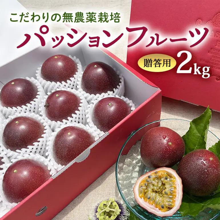 【 先行予約 2027年 発送 】こだわりの無農薬栽培パッションフルーツ2kg ＜贈答用＞ 果物 フルーツ くだもの 2キロ 沖縄 果実 南国フルーツ 沖縄県産 美味しい 甘い あまい 甘み 酸味 爽やか 産地直送 農家直送 産直 ギフト 贈答品 沖縄県 糸満市 8-4