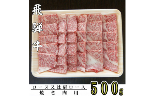 
A5ランク飛騨牛焼き肉用500g(ロース又は肩ロース)【1307430】
