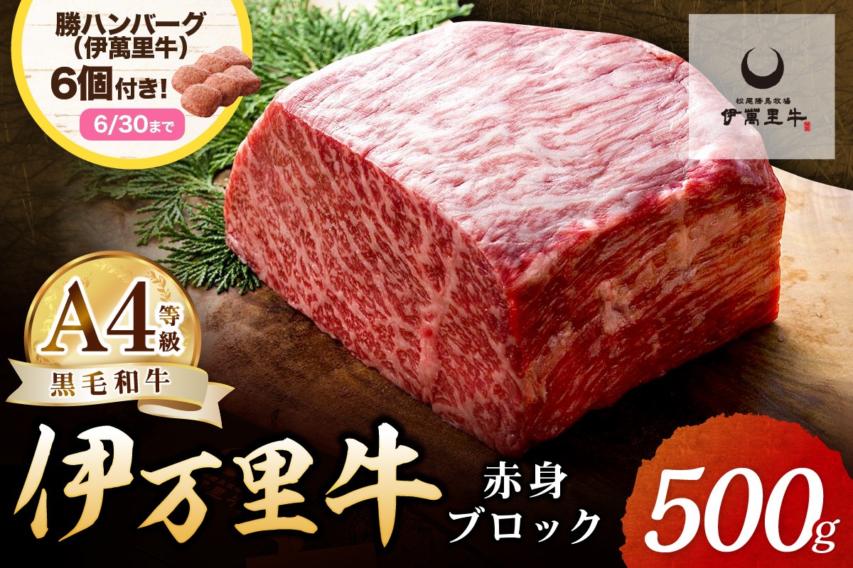 
                  【企業努力】伊万里牛 赤身ブロック 500g +ハンバーグ6個 007-J1832 ステーキローストビーフ BBQにおすすめ【黒毛和牛 国産 モモ肉 ブロック肉 バーベキュー】
                