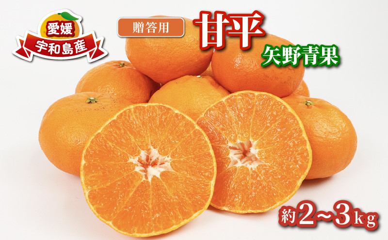 
            贈答用 甘平 2 ~ 3kg 矢野青果 みかん 化粧箱入 高級 希少 限定 品種 シャキシャキ 柑橘 果物 くだもの フルーツ 濃厚 甘い 甘味 蜜柑 贈答品 贈答 ギフト プレゼント 産地直送 農家直送 数量限定 国産 愛媛 宇和島 B012-171010
          