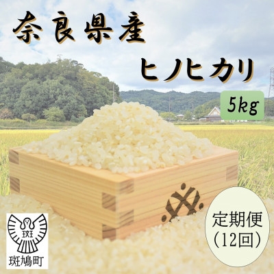 
                  ＜毎月定期便＞奈良県産ヒノヒカリ(白米)5kg全12回【4084809】
                