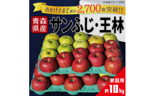 
りんご サンふじ&王林 家庭用 計10kg (各約5kg)【1331518】
