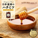 【ふるさと納税】日本蜜蜂のハチミツ100％！（200g／200g×2／1.2kg）はちみつ 高級 自然食品 無添加 ニホンミツバチ