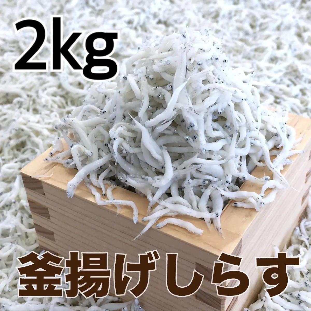 釜揚げしらす 約2kg【DN4】【AN016-dig014】