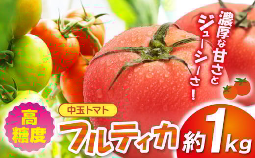  高糖度 中玉トマト 約1kg | 小林園芸 フルティカ 野菜 トマト ミニトマト  とまと  調布 東京都